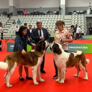 Foto de Criadeiro do Val de Portela en Santiago de Compostela - Imagen 1