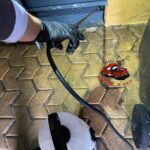 CUCASOL DDD – Control de plagas Sevilla - Control de plagas en Alcalá de Guadaíra