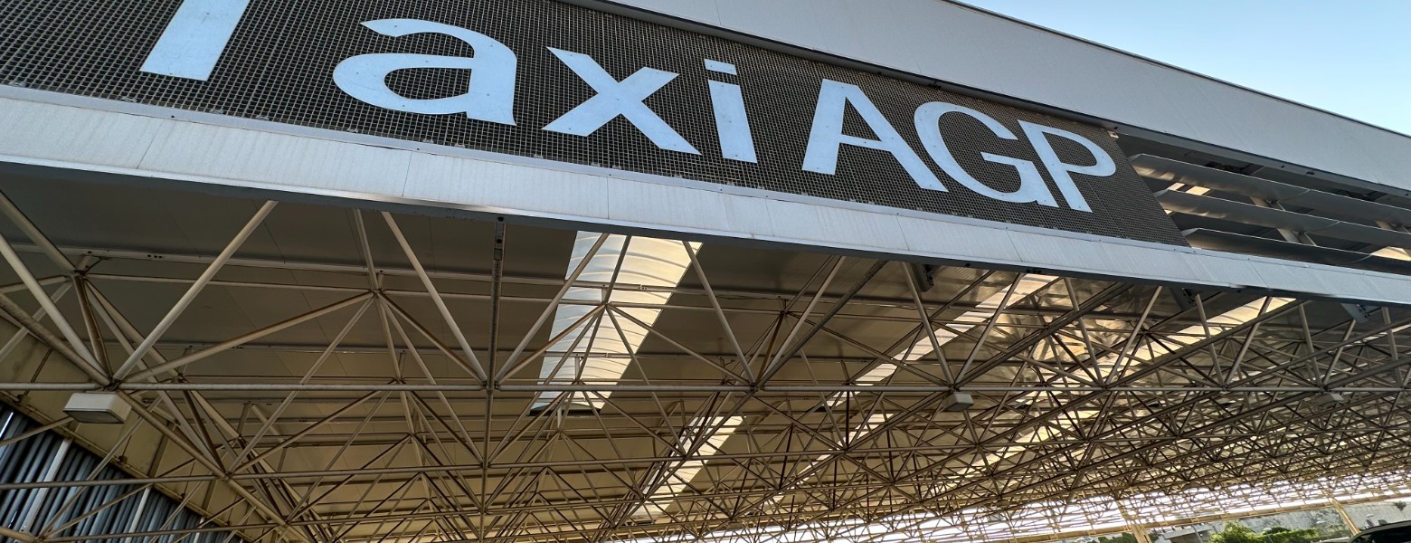 Foto de Taxi Malaga MOVEinmalagataxi LM715 en Málaga - Imagen 2