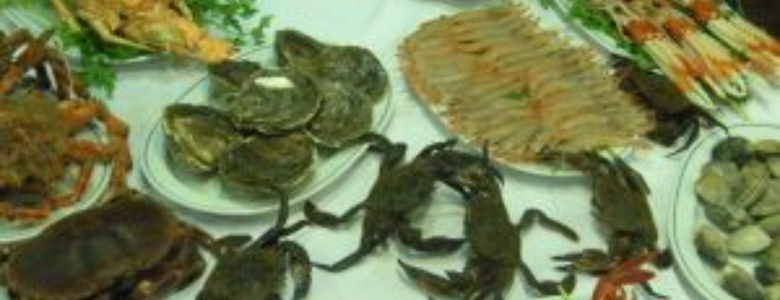 Foto de Restaurante Mi casa en Valladolid - Imagen 3