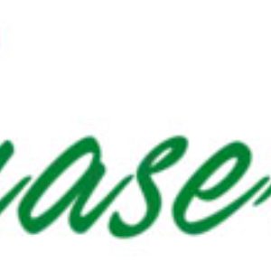 Logo de Araservi