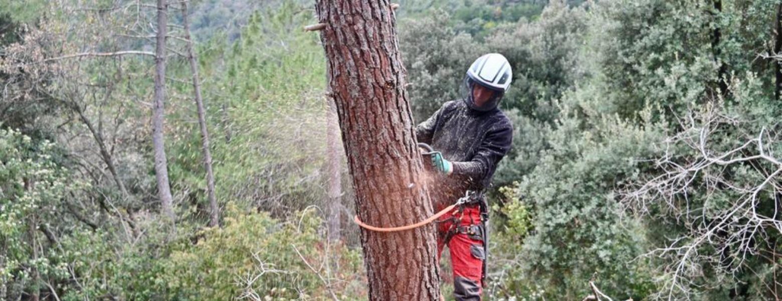 Foto de PG - Serveis pels arbres en Castellfollit de la Roca - Imagen 1