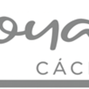 Logo de Nevacam Joyería Nevado