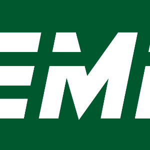 Logo de Faempal