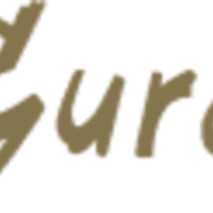 Logo de Gurea Modak