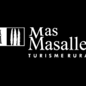 Logo de Mas Masaller