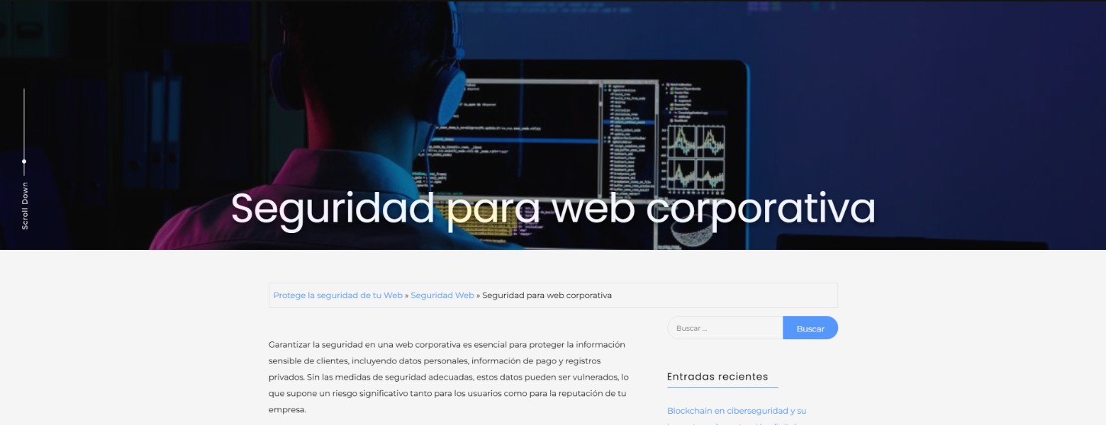 Foto de Asesoría Seguridad Web - CloudsDefense en Murcia - Imagen 2