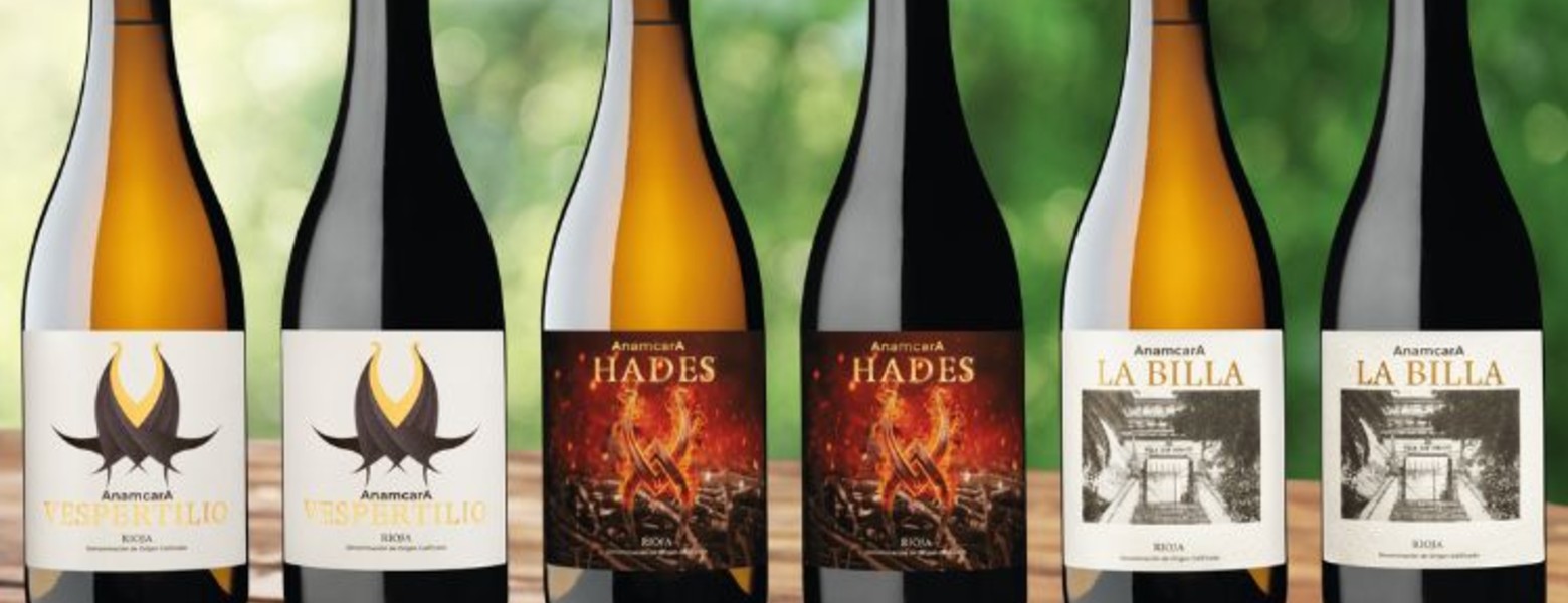 Foto de ARUM BODEGAS en Haro - Imagen 2