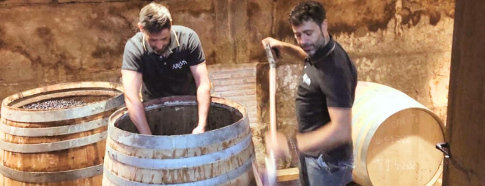 Foto de ARUM BODEGAS en Haro - Imagen 4
