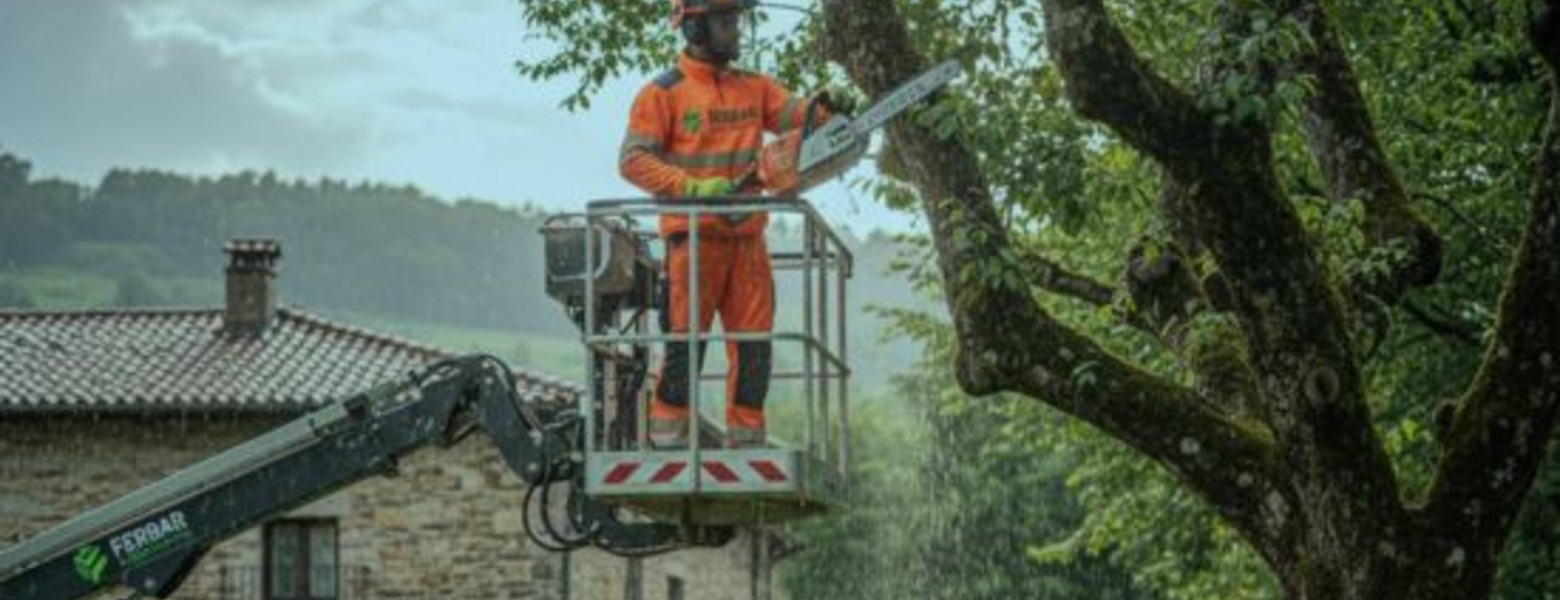 Foto de Ferbar Gardens - Mantenimiento de jardines en Bilbao en Bilbao - Imagen 5