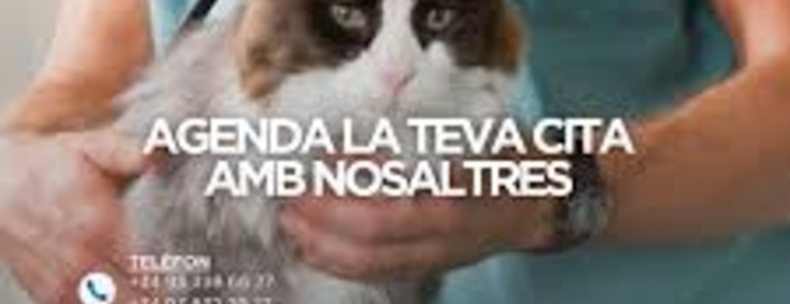 Foto de Animalia Badalona Clínica Veterinària en Badalona - Imagen 4