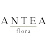 Floristería Antea Flora | Flores a domicilio Valencia - Floristeria en Valencia