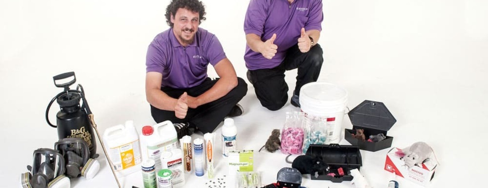 Foto de Plagues Ésser Viu en Rubí - Imagen 4