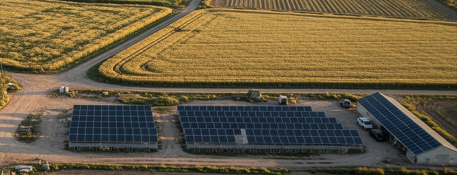 Foto de Finca Las Iniestas, Albacete en Albacete - Imagen 5