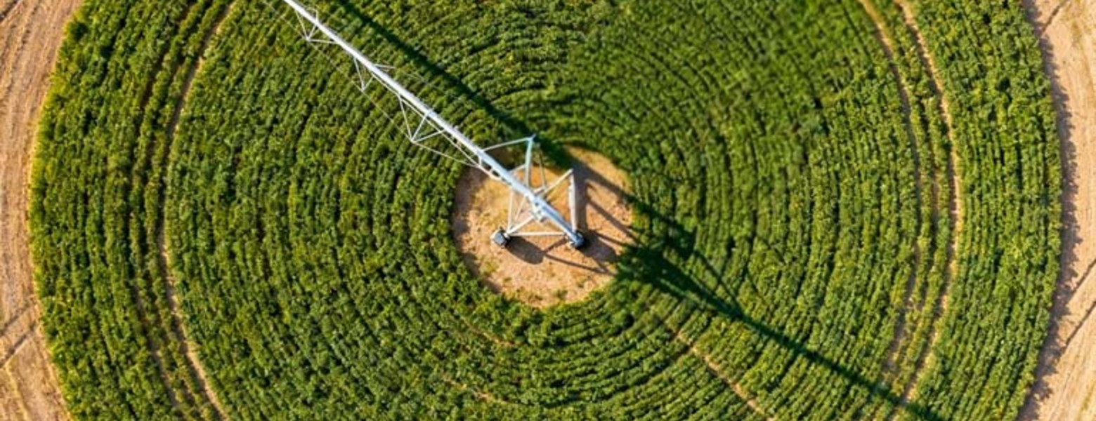 Foto de Finca Las Iniestas, Albacete en Albacete - Imagen 9
