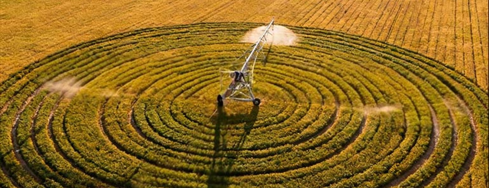Foto de Finca Las Iniestas, Albacete en Albacete - Imagen 7