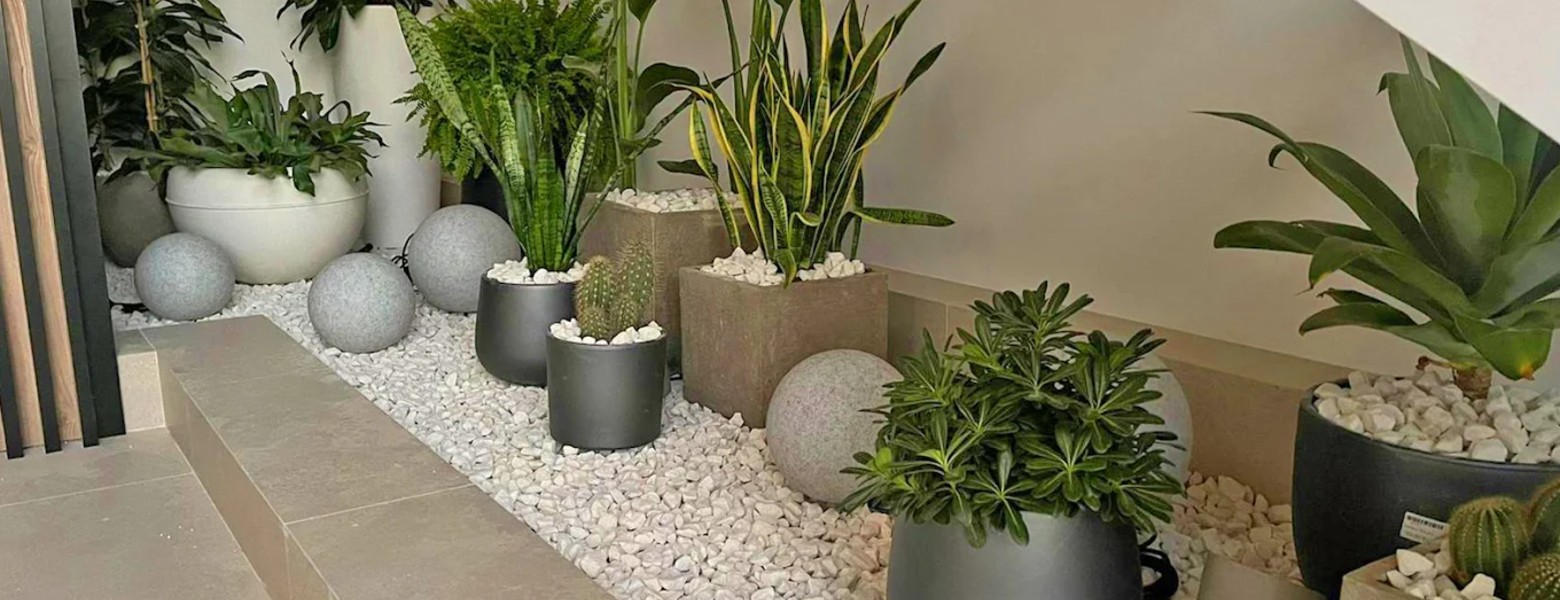 Foto de Garden Almerimar en Almerimar - Imagen 5