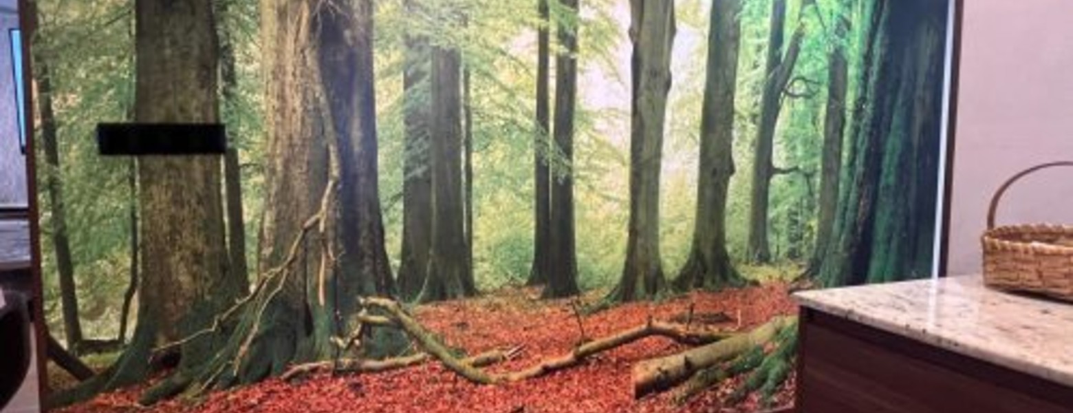 Foto de Pinturas Arratia en Artea - Imagen 3