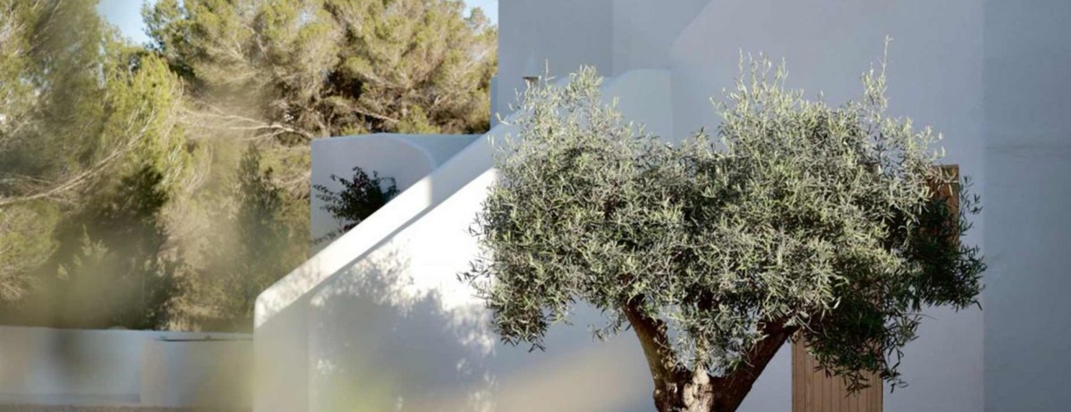 Foto de Estel Formentera en Formentera - Imagen 5