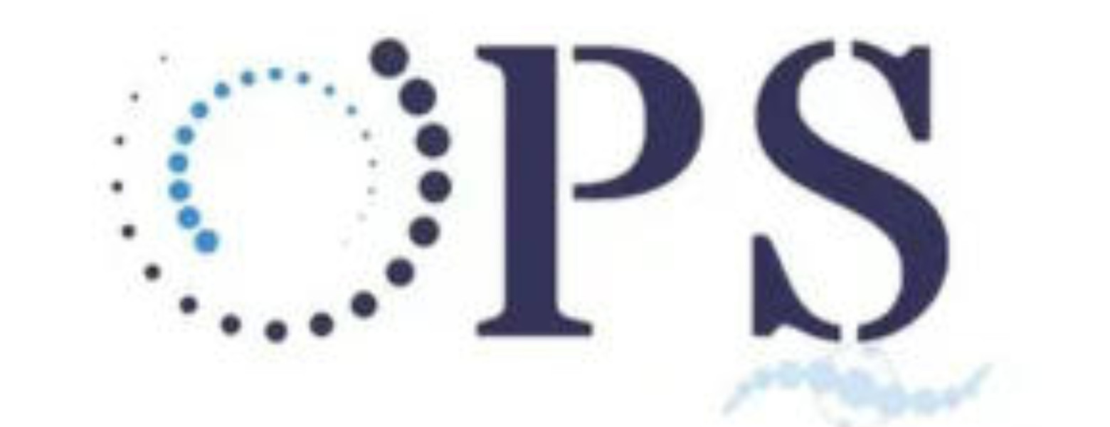 Foto de Outsourcing Payroll Solutions Laboral SL en Madrid - Imagen 5