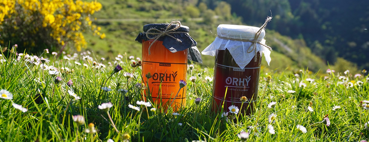Foto de Orhy Shop | Venta de Miel en Valgañón - Imagen 1