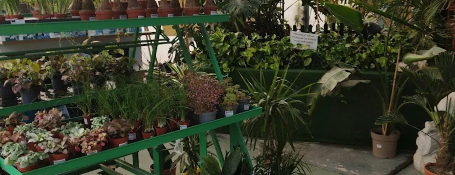 Foto de Garden Almerimar en Almerimar - Imagen 6