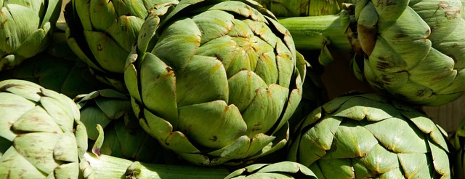 Foto de Fruteria El Cantó de la Bona Tomata Valencia en Valencia - Imagen 4