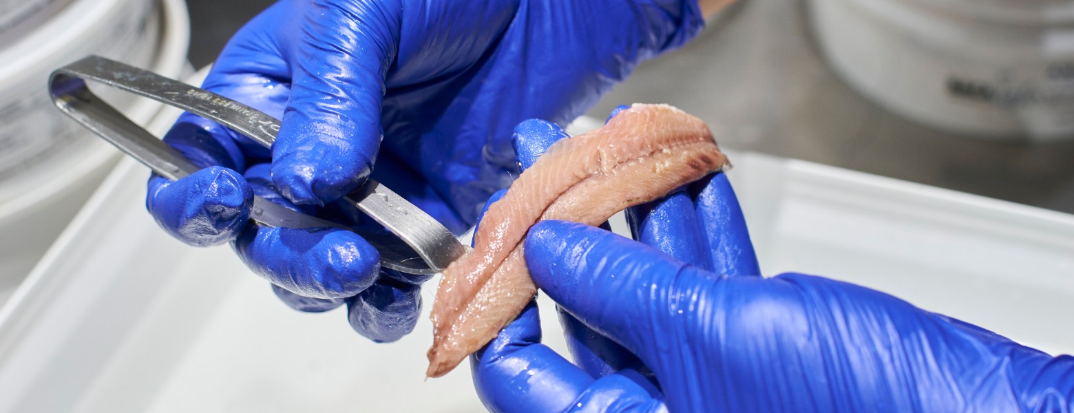 Foto de Bacallaneria Bacalalo | Mercat del Ninot - Barcelona en Santa Coloma de Gramenet - Imagen 11