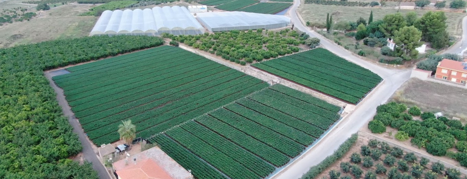 Foto de Espacio Verde Viveros (Eugenio Signes) en Gandia - Imagen 5