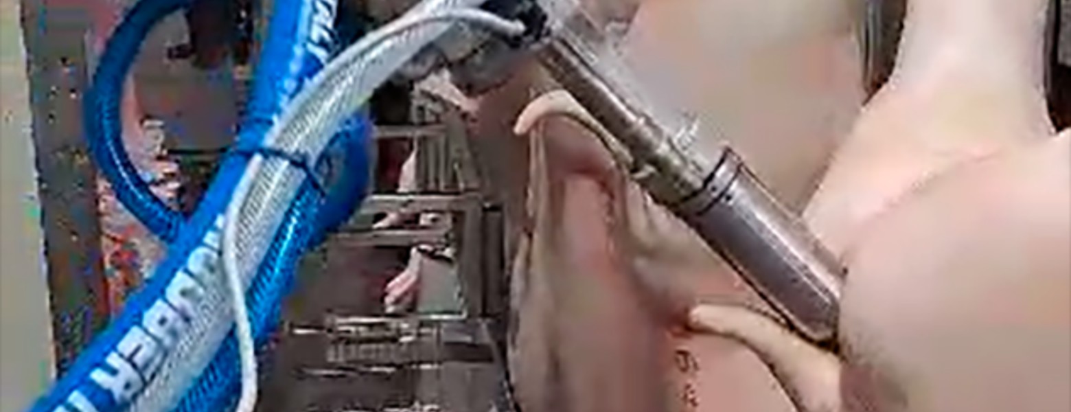 Foto de DEXA Soluciones - Maquinaria para Mataderos en Viladecans - Imagen 3