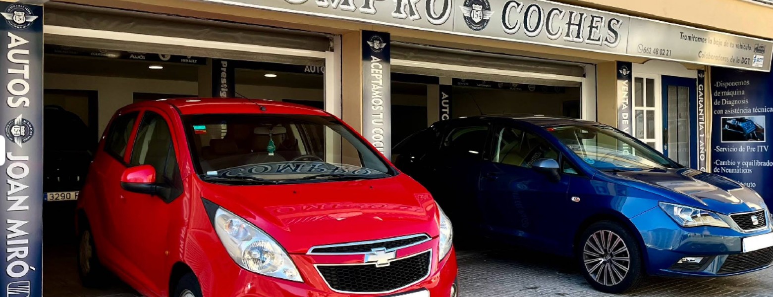 Foto de Samai Fenix S.L. en Palma - Imagen 5