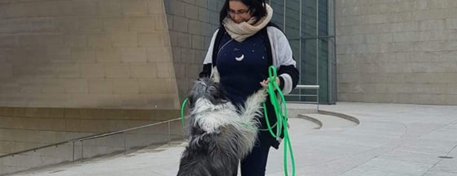 Foto de TRUFAS NEGRAS - Centro de bienestar animal en Bilbao - Imagen 4