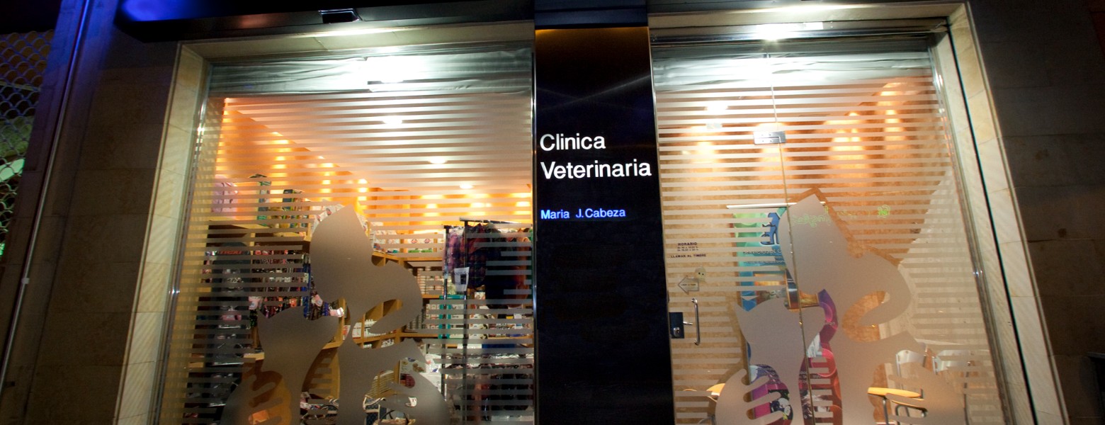 Foto de Clínica Veterinaria María J. Cabeza en León - Imagen 1