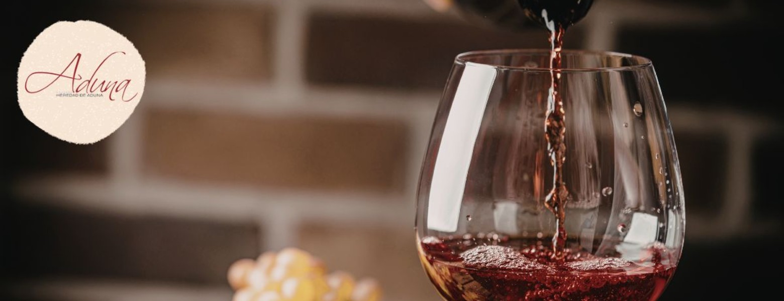 Foto de Bodegas Heredad Aduna en Samaniego - Imagen 1