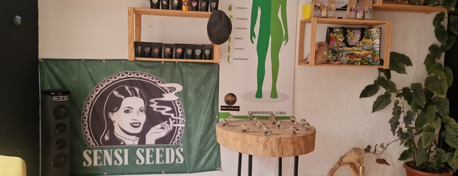 Foto de Sativa CBD Boutique en Ávila - Imagen 3