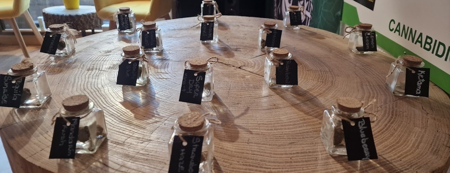 Foto de Sativa CBD Boutique en Ávila - Imagen 4