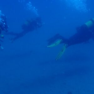 Foto de ViveBuceo - Escuela de buceo en La Herradura en Almuñécar - Imagen 7