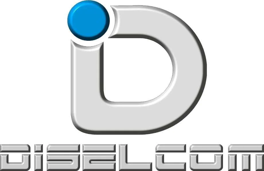 DISELCOM 2010