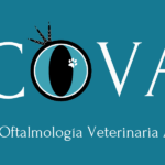 Clínica oftalmología veterinaria Asturias - Hospital Veterinario en Gijón