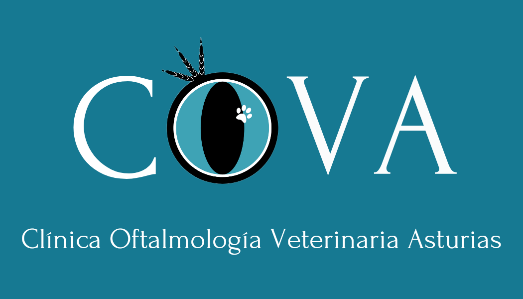 clinica oftalmologica veterinaria asturias