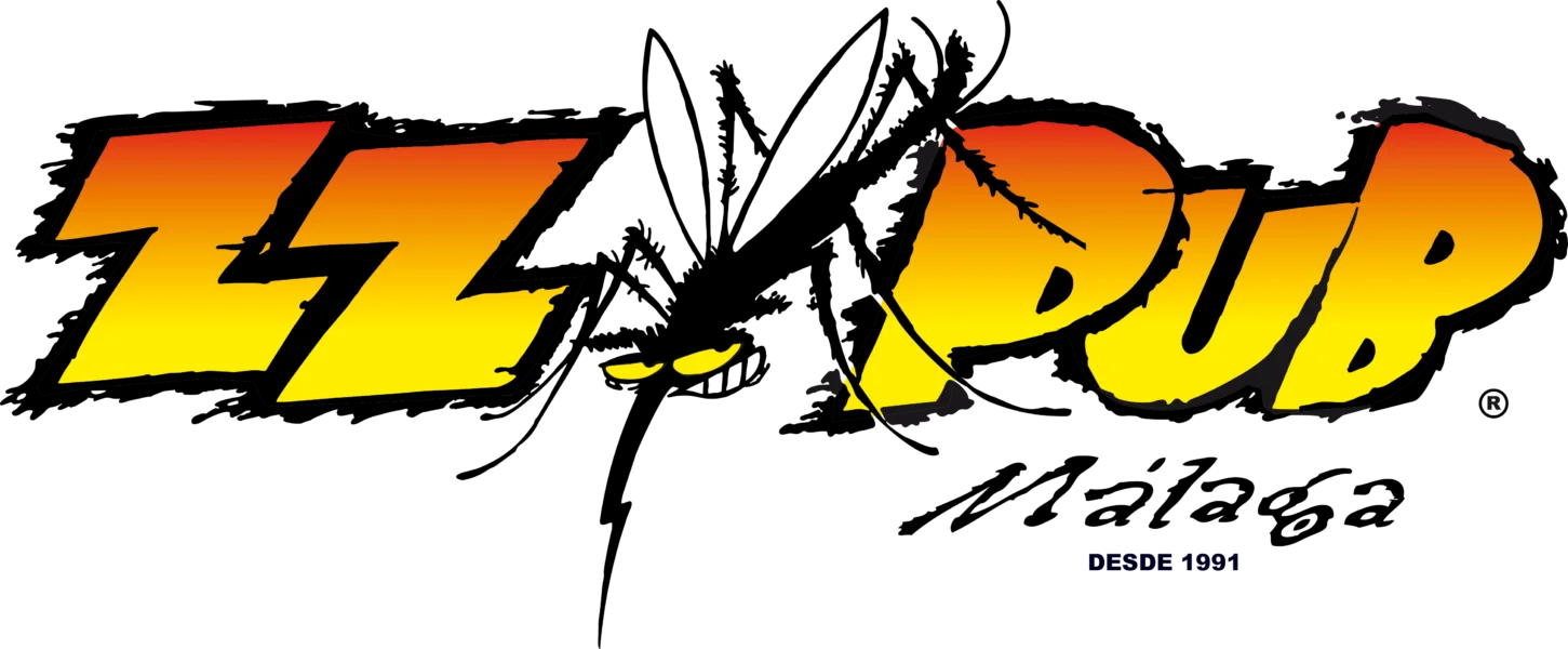 logo zz color