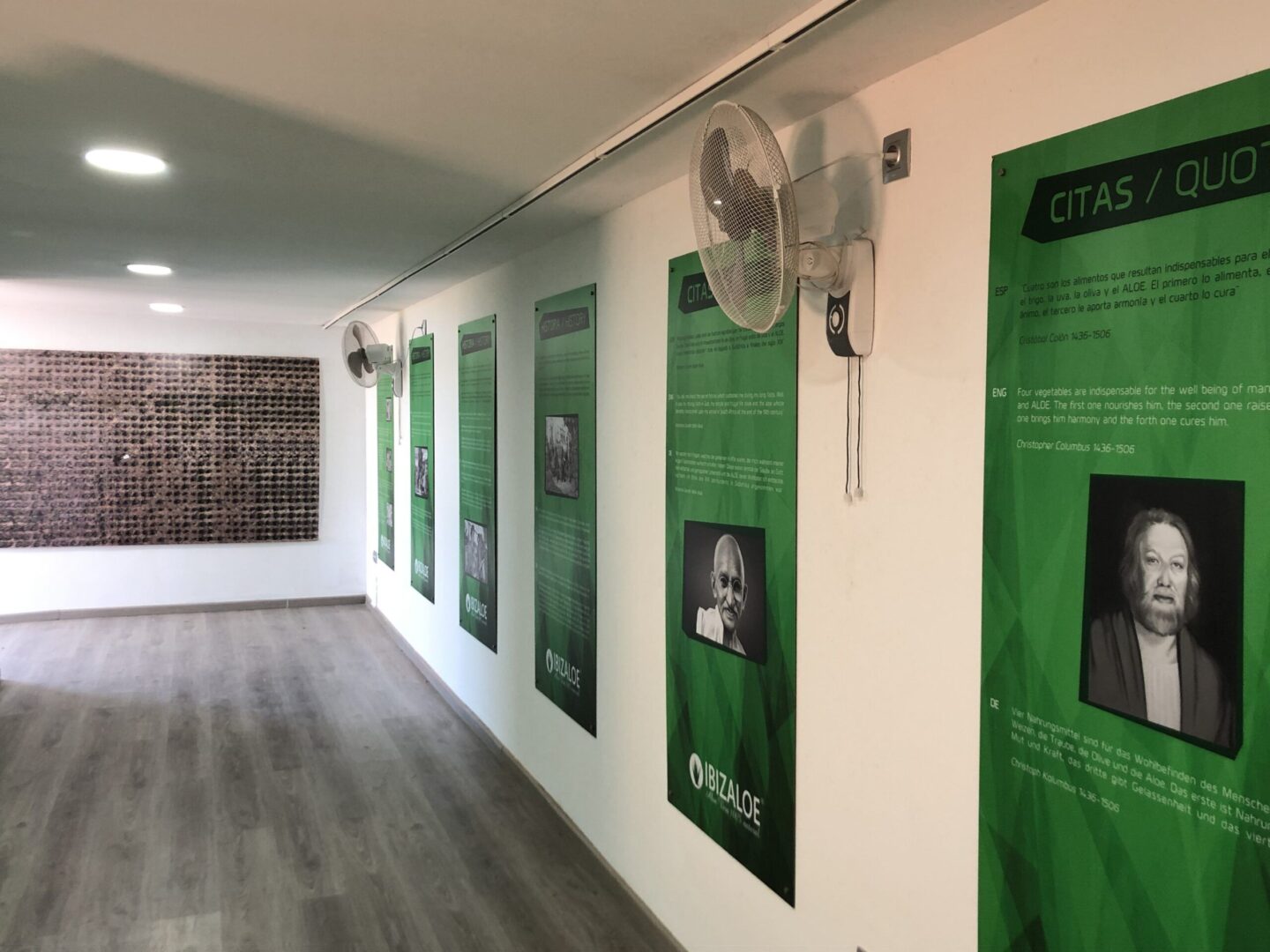 Foto de Ibizaloe en Ibiza - Imagen 1
