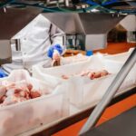 MRT CÀRNIQUES SL - Mayorista de carnes en Badalona