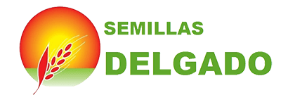 logotipo semillasdelgado