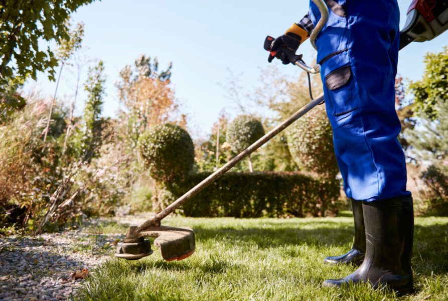 jardinero weedwacker cortando cesped jardin