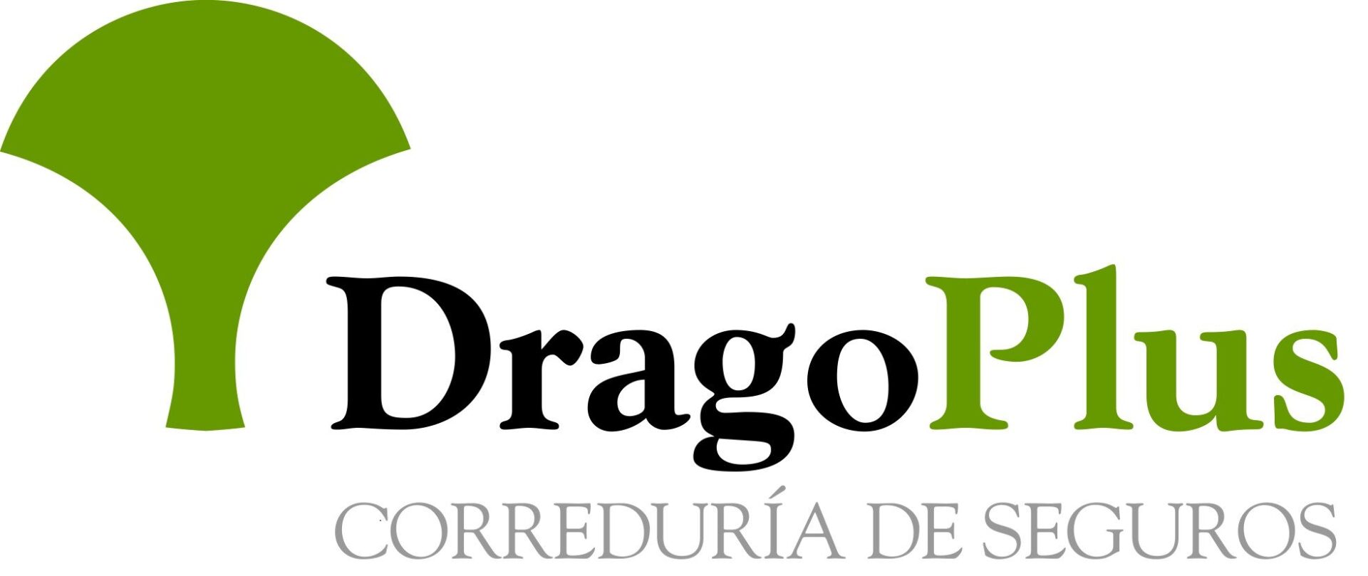 Foto de DRAGOPLUS CORREDURIA DE SEGUROS en Las Palmas de Gran Canaria - Imagen 1