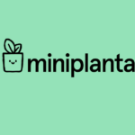 Mini Planta