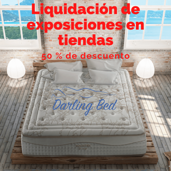 liquidacion de exposiciones