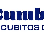 Cubitos de Hielo Cumbreño - Servicios empresariales y consultoría en Madrid