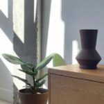 DAM studio / Arquitectura e Interiorismo - Arquitecto en Caudete
